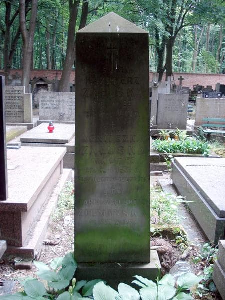 Zdjęcie grobu Kazimierz Załuska (1)