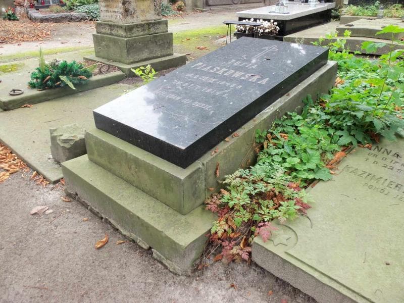Zdjęcie grobu Zofia Piaskowska (1)