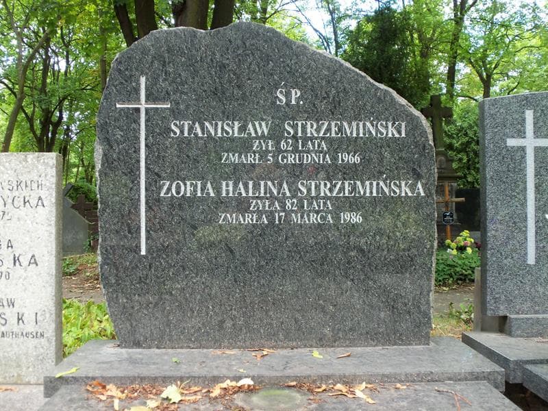 Zdjęcie grobu Zofia Halina Strzemińska (2)