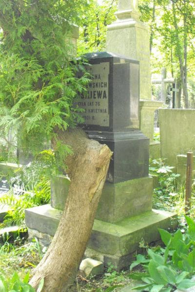 Zdjęcie grobu Marjanna Wasiljewa (2)