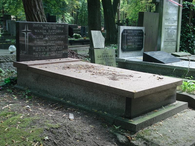 Zdjęcie grobu Wacław Danilewicz (1)