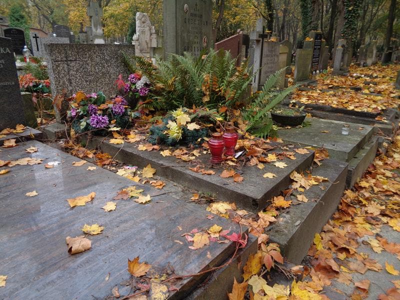 Zdjęcie grobu: Władysław Rozmarynowski