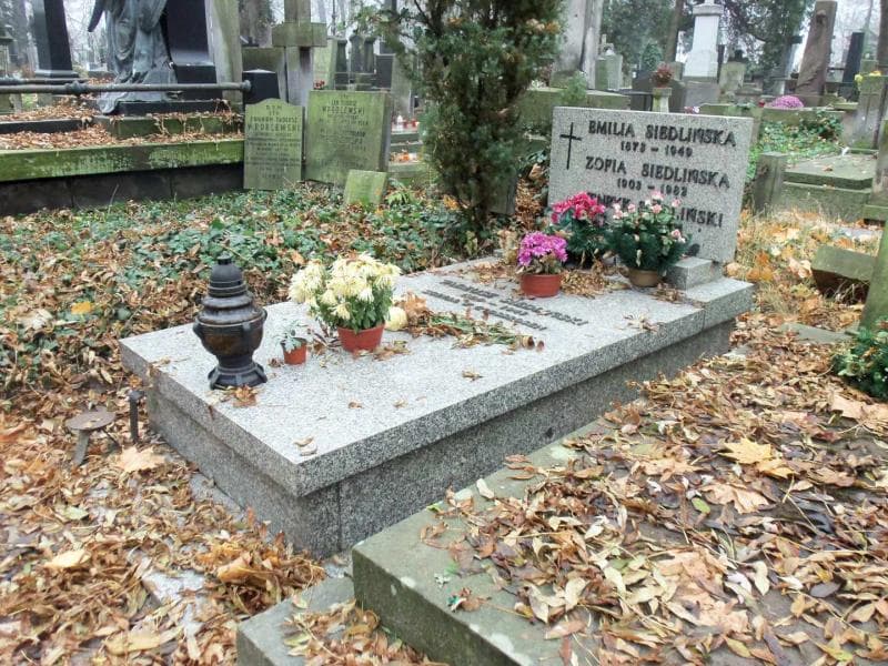 Zdjęcie grobu Emilia Siedlińska (1)