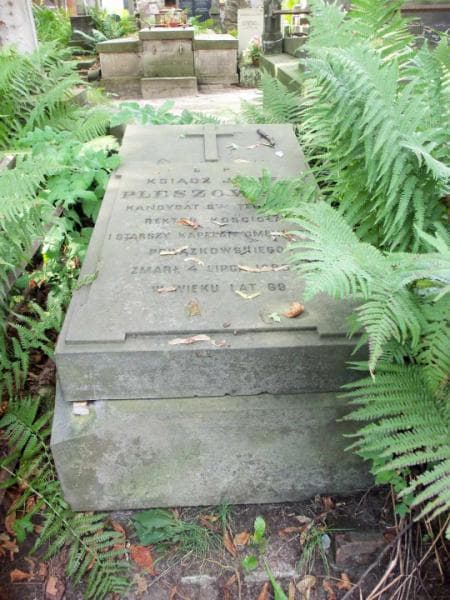 Zdjęcie grobu Józef Pleszowski (2)