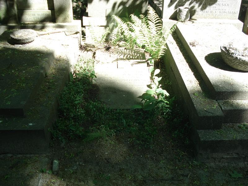 Zdjęcie grobu: Antonina Piotrowska