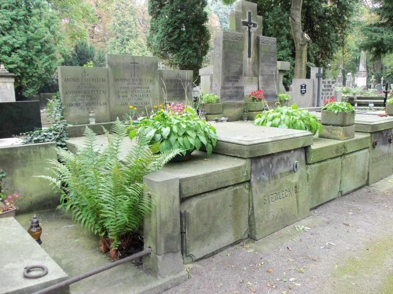 Zdjęcie grobu Zofia Siedlecka (1)