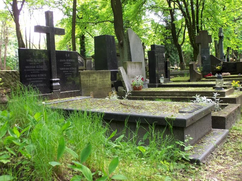 Zdjęcie grobu Mieczysław Kuźmicki (1)
