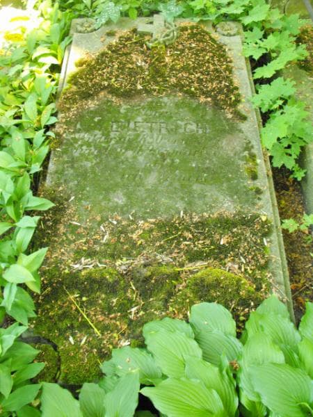 Zdjęcie grobu Wiktor Dietrich (2)
