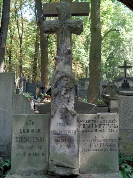 Zdjęcie grobu Ludwik Ciesielski (2)