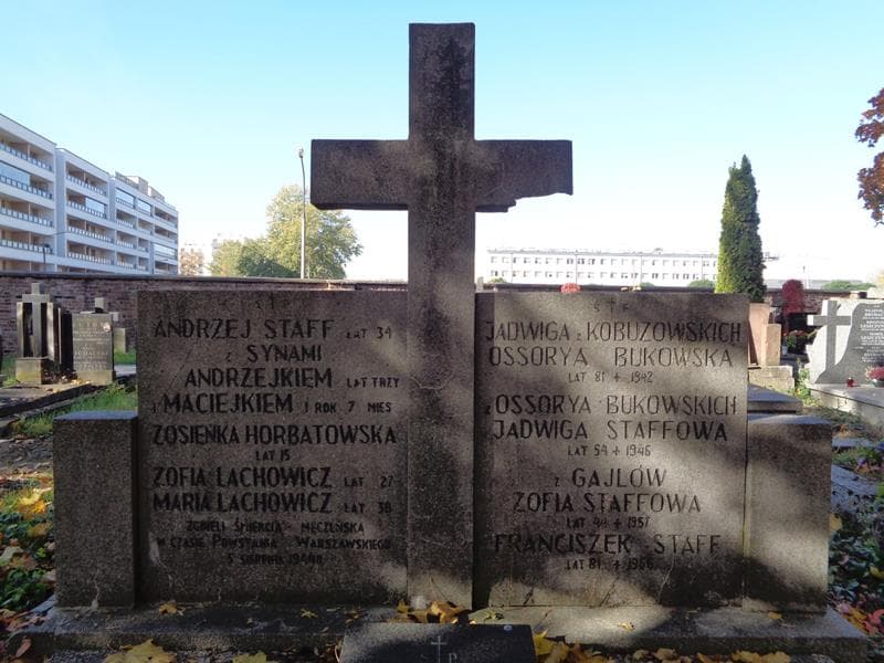 Zdjęcie grobu Maria Lachowicz (2)