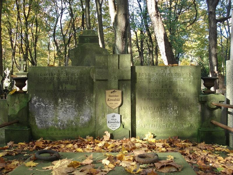 Zdjęcie grobu Antoni Ciborowski (2)