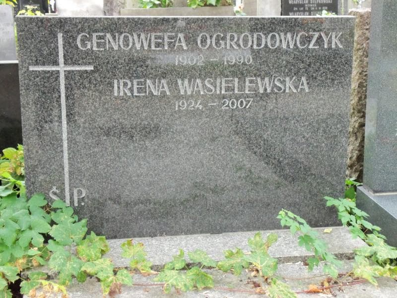 Zdjęcie grobu Irena Wasielewska (2)