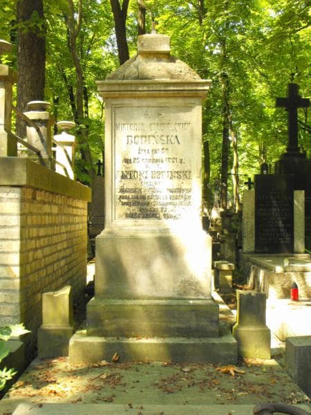 Zdjęcie grobu Józef Tarczyński (2)