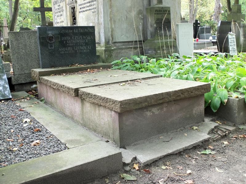 Zdjęcie grobu Zofia Czyżewska (1)