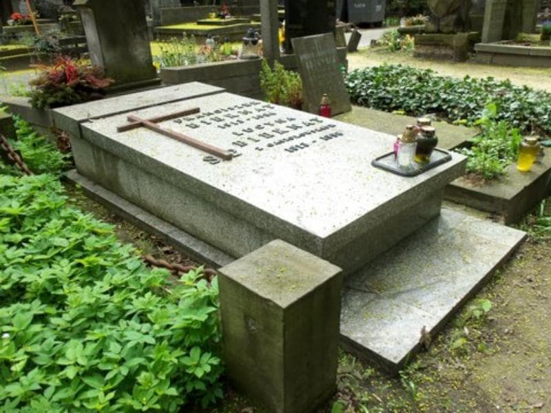 Zdjęcie grobu Franciszek Biernat (1)