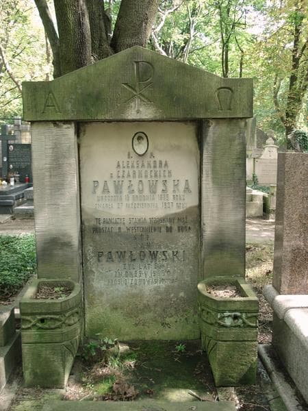 Zdjęcie grobu Aleksandra Pawłowska (2)