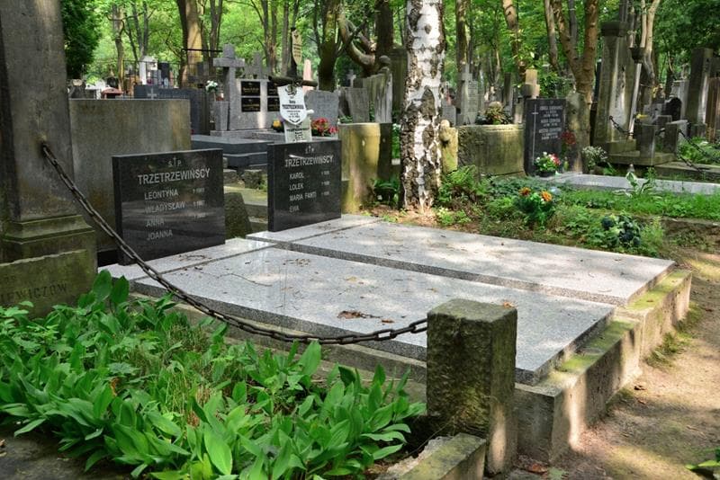 Zdjęcie grobu: Leontyna Trzetrzewińska