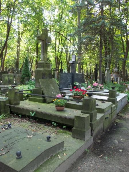 Zdjęcie grobu Ludwik Walicki (1)