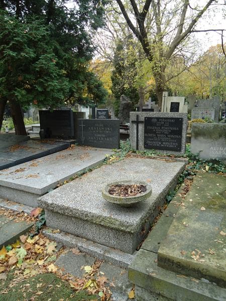 Zdjęcie grobu Zbigniew Manitius (1)