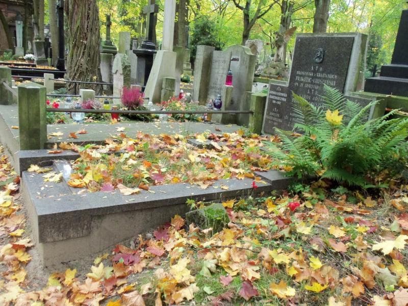 Zdjęcie grobu Jadwiga Laskowska (1)