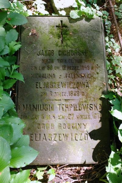 Zdjęcie grobu Maniusia Terpiłowska (2)