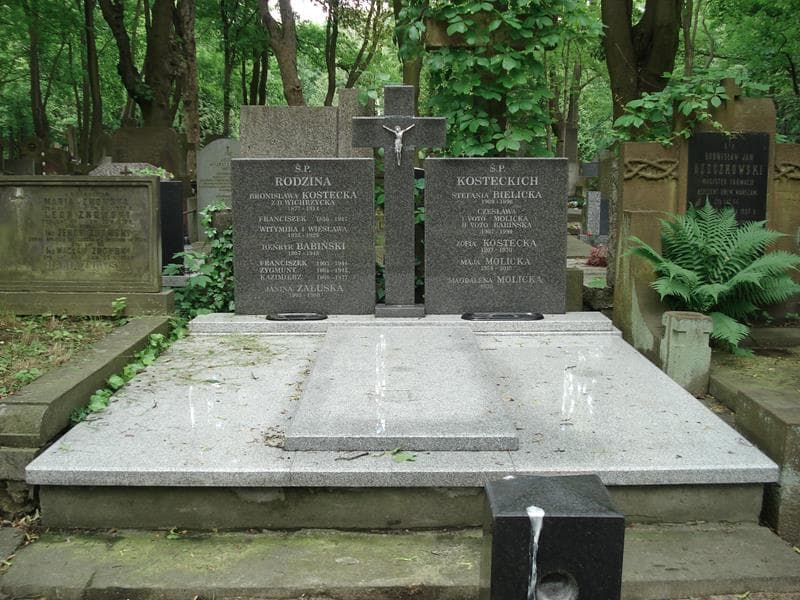 Zdjęcie grobu: Henryk Babiński