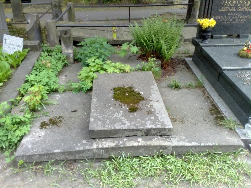 Zdjęcie grobu: Rożnieccy