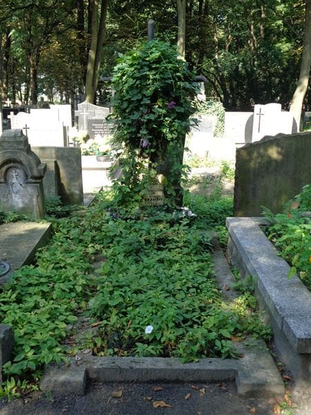 Zdjęcie grobu: Alicja Książek