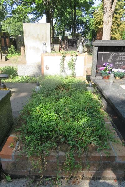 Zdjęcie grobu Jan Brodowski (1)