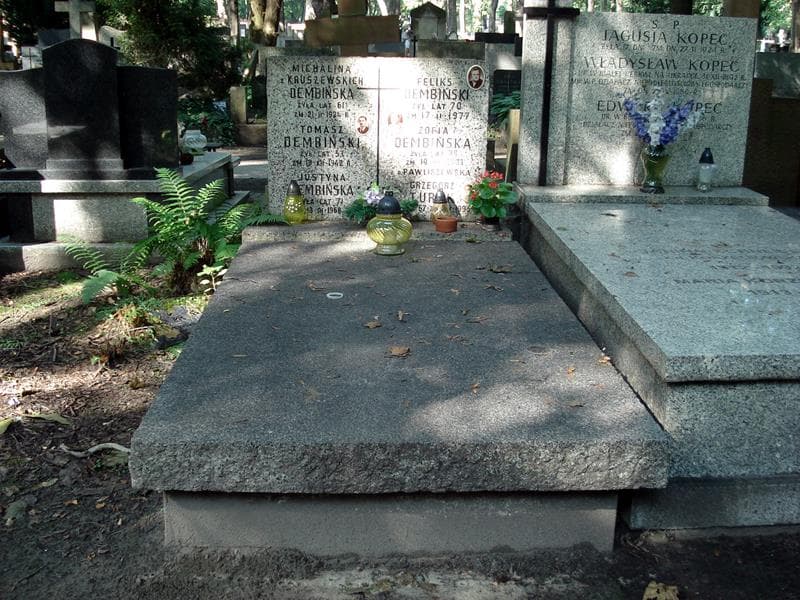 Zdjęcie grobu Feliks Dembiński (1)