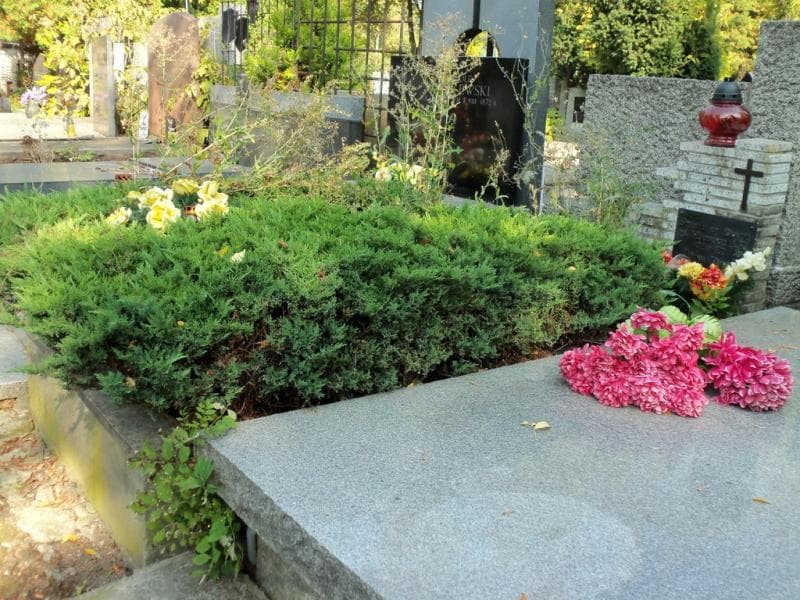 Zdjęcie grobu Irena Donde (1)