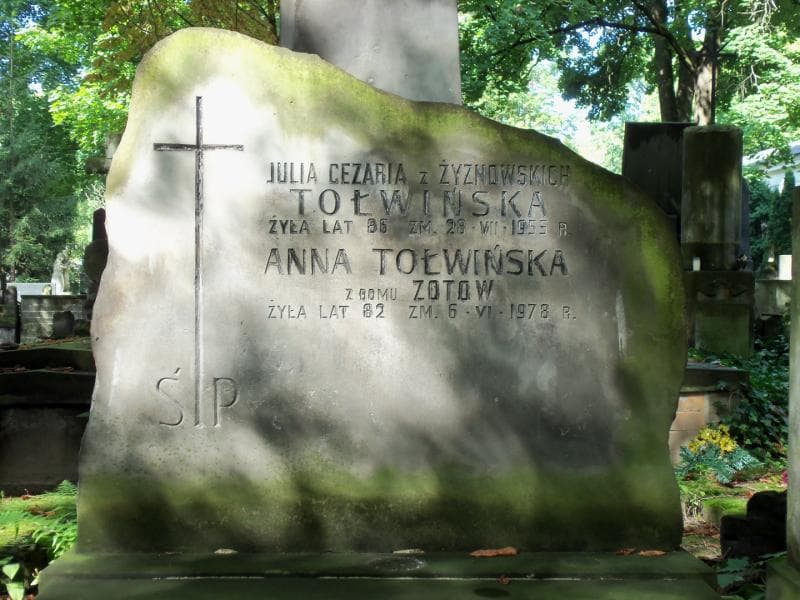 Zdjęcie grobu Anna Tołwińska (2)
