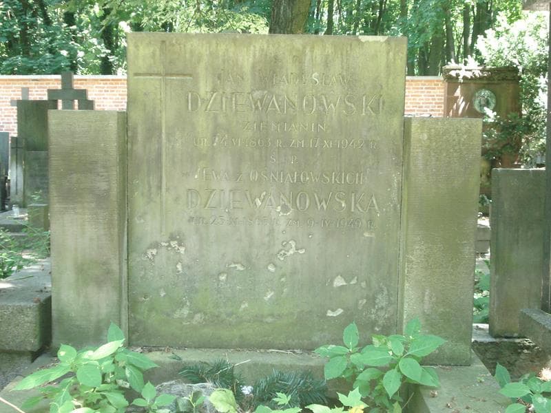 Zdjęcie grobu Jan Władysław Dziewanowski (2)