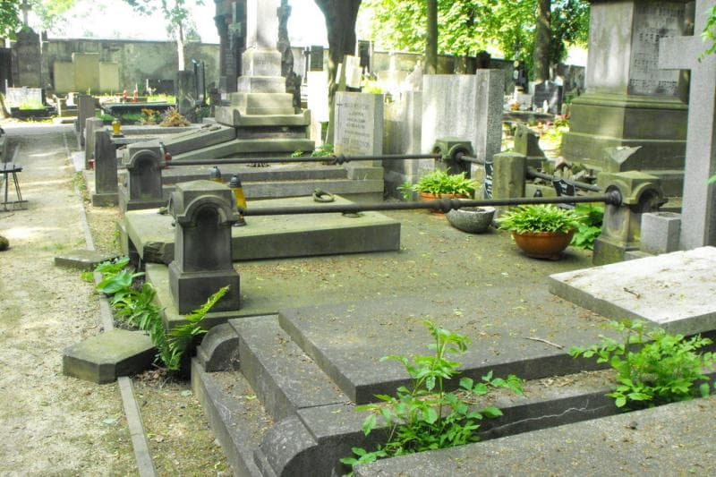Zdjęcie grobu Salomea Dąbrowska (1)