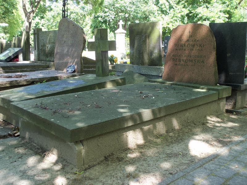 Zdjęcie grobu Stanisław Perkowski (1)