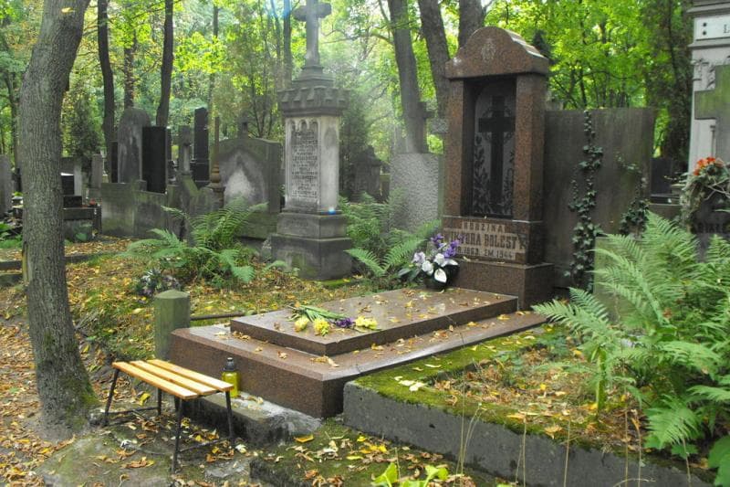 Zdjęcie grobu Wiktor Bolesta (1)