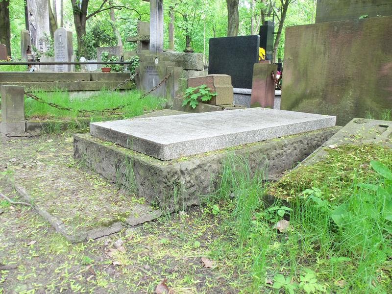 Zdjęcie grobu Apolonia Gorczycka (1)