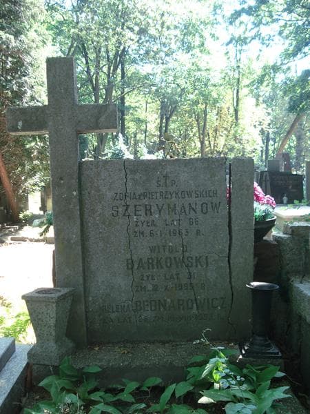 Zdjęcie grobu Witold Barkowski (1)