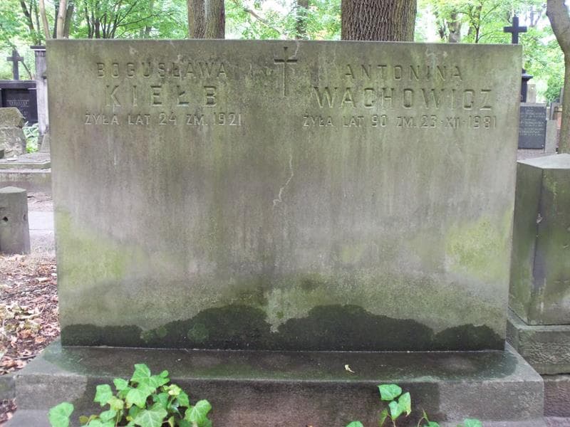 Zdjęcie grobu Antonina Wachowicz (2)