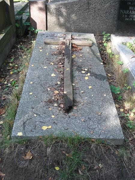 Zdjęcie grobu Stanisław Jagodziński (2)