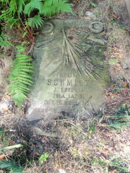 Zdjęcie grobu Paulina Schmidt (1)