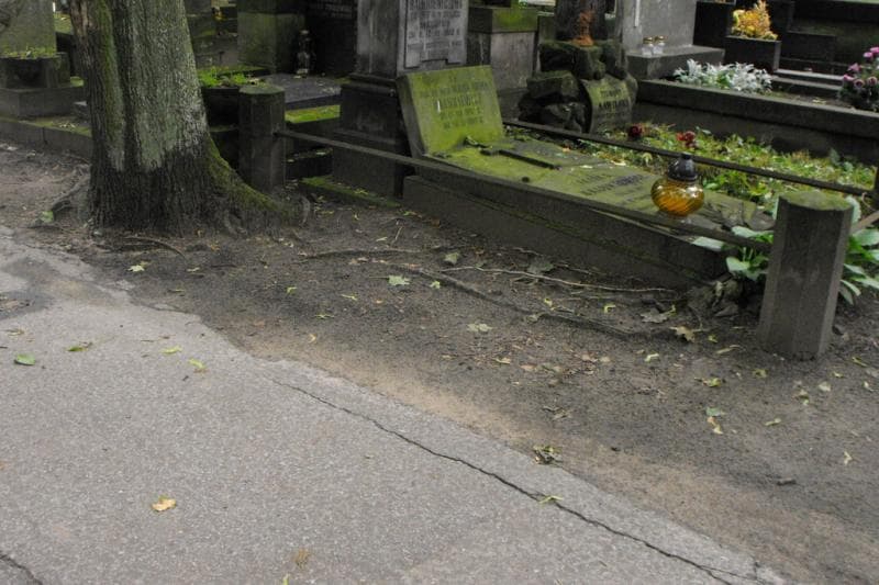 Zdjęcie grobu Pole Grobowe (1)