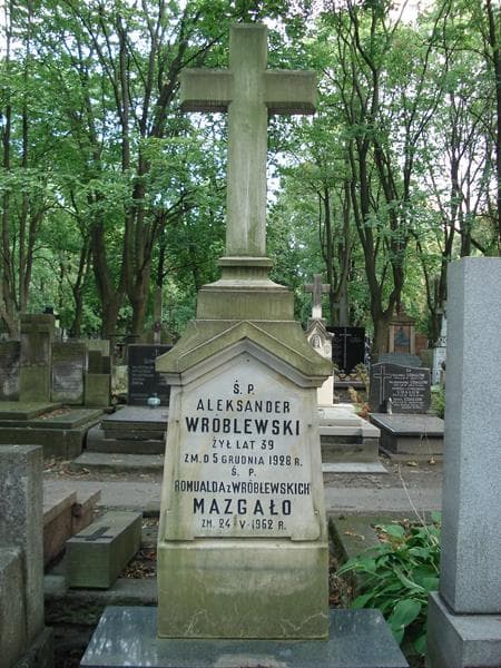 Zdjęcie grobu Aleksander Wróblewski (2)