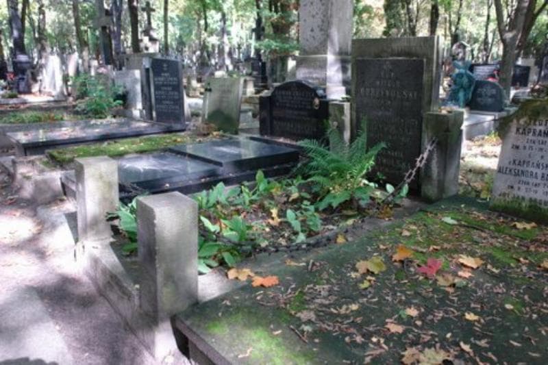 Zdjęcie grobu Paulina Maria Odrzywolska (1)