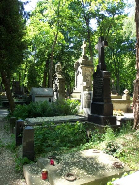Zdjęcie grobu Henryk Bełczykiewicz (1)
