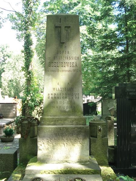 Zdjęcie grobu Władysław Szeligowski (2)