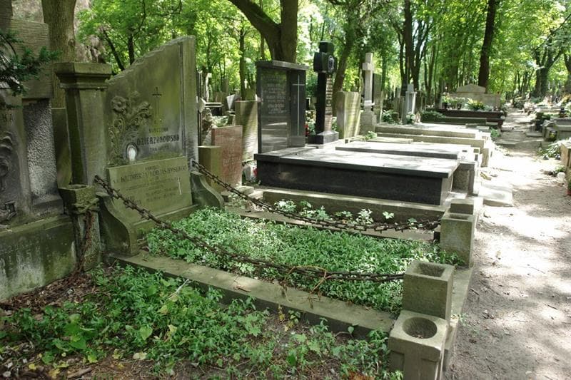 Zdjęcie grobu: Maria Kodjaszwska