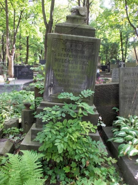 Zdjęcie grobu Zygmunt Podolszyński (1)