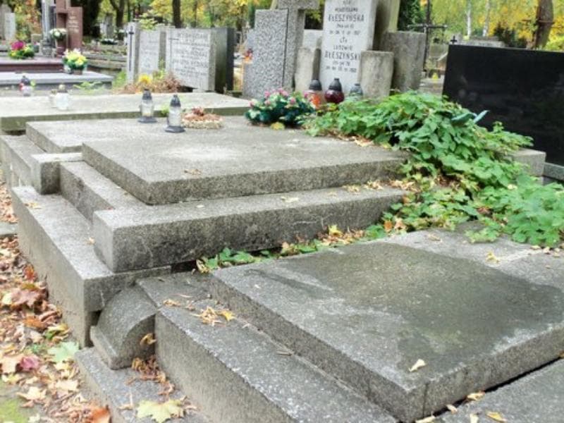 Zdjęcie grobu Ludwik Zawadziński (1)