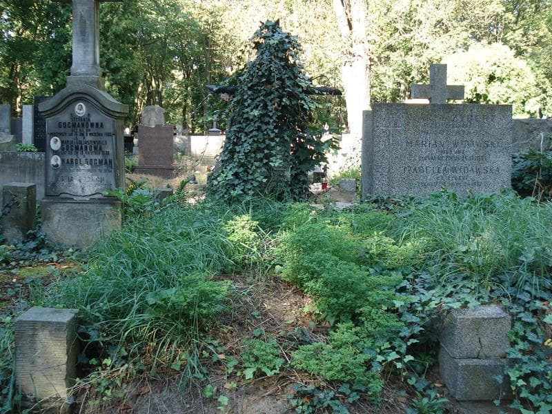 Zdjęcie grobu: Aleksandra Kacprzyńska